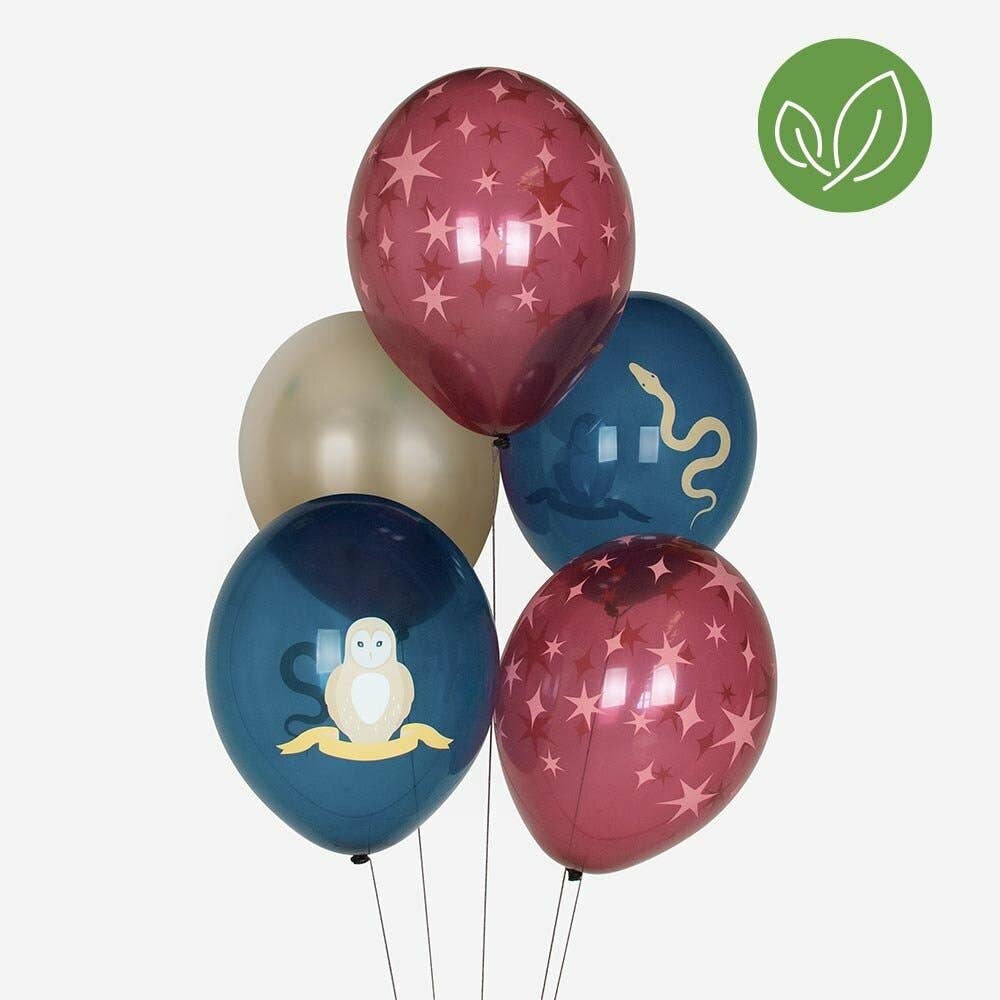 Wizard Balloons (5 printed balloons)