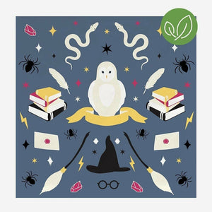 Wizard Napkins (20 ct.) by My Little Day  3700690811524 